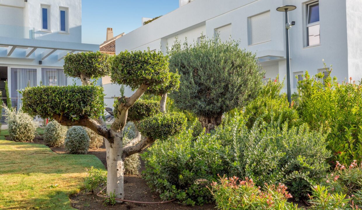 Sales and Rentals - Jacques Olivier Marbella