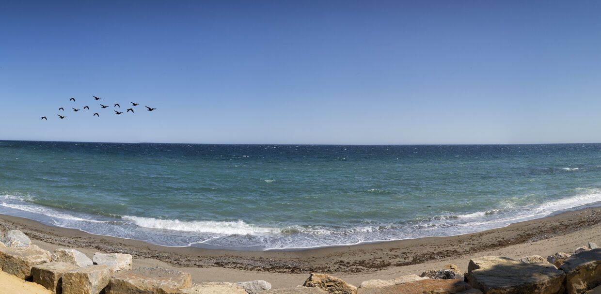 Sales and Rentals - Jacques Olivier Marbella