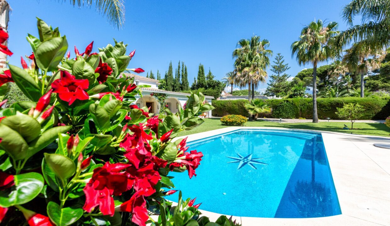 Sales and Rentals - Jacques Olivier Marbella